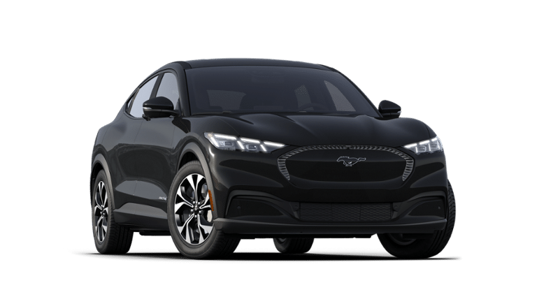 Mustang Mach-E® vehicle